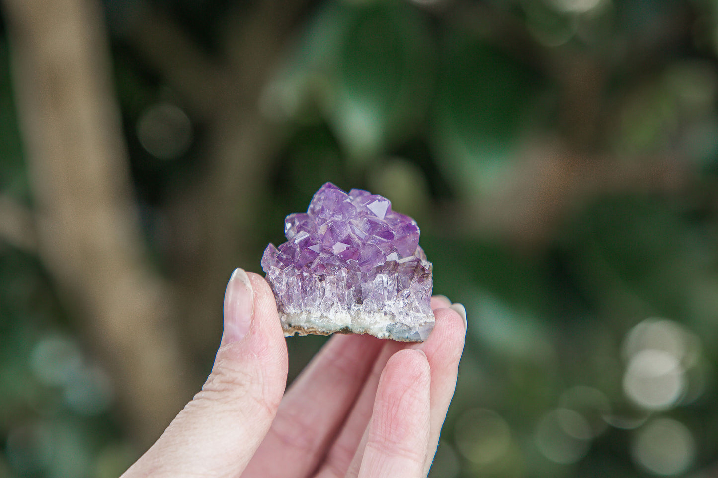 Mini Amethyst "Pineapple" Cluster