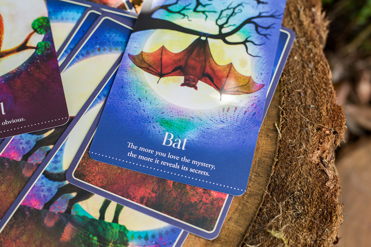 Wild Dreams Animal Oracle