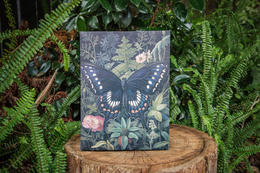 Garden Butterfly