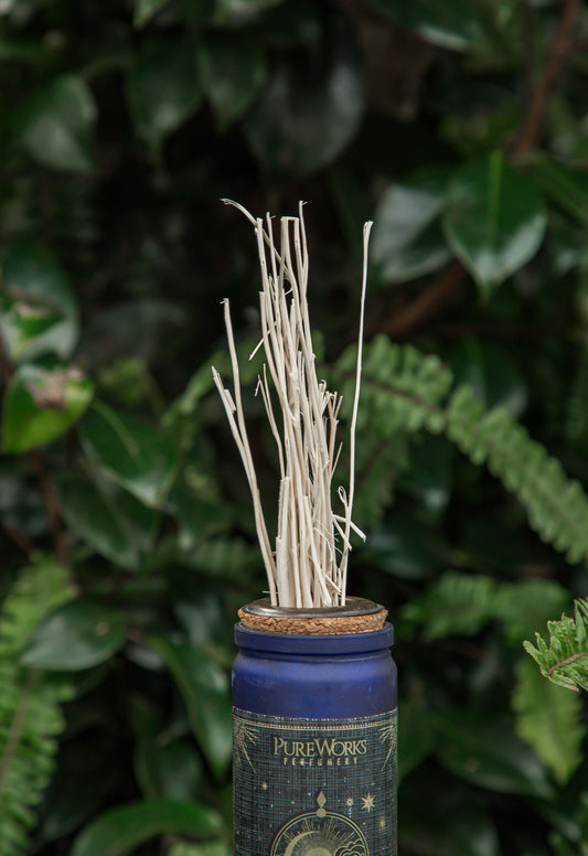 Willow Room Diffuser | Boho Dreams