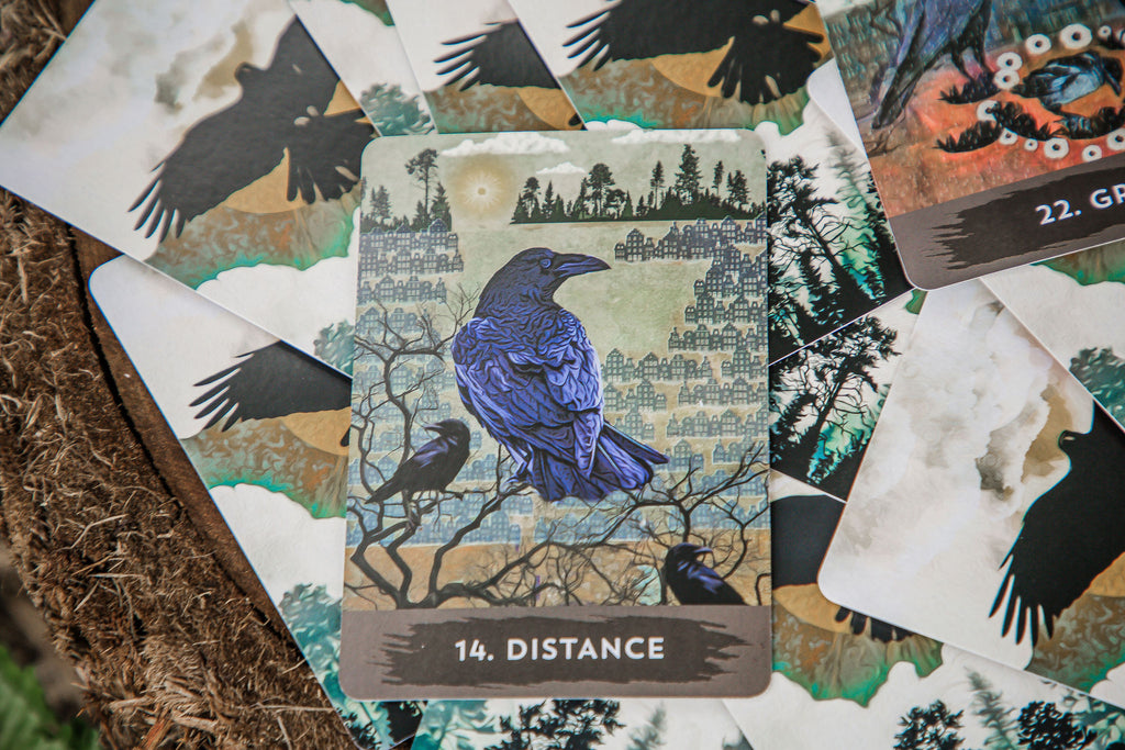 Urban Crow Oracle