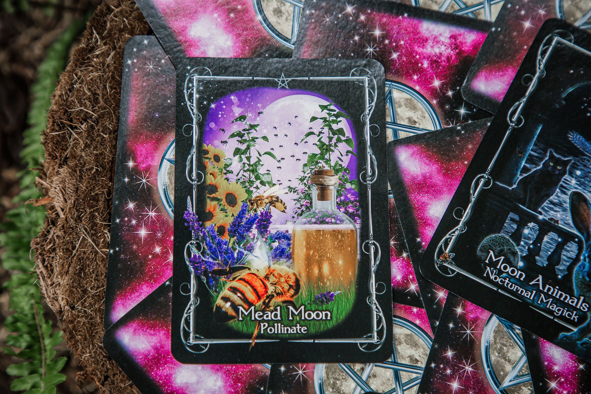 Witches' Moon Magick Oracle