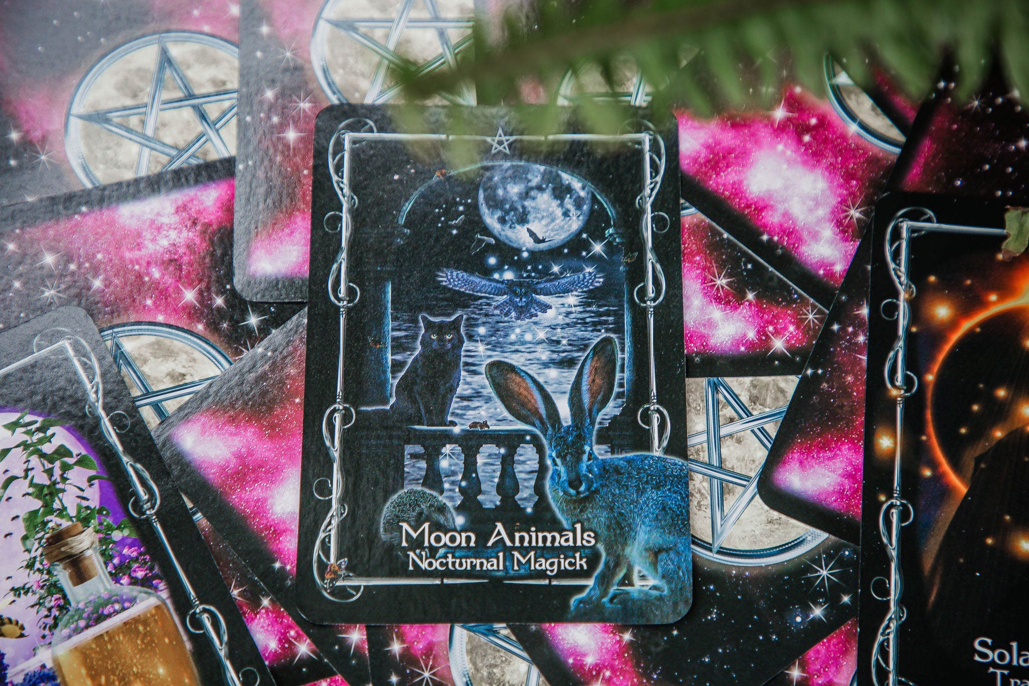 Witches' Moon Magick Oracle