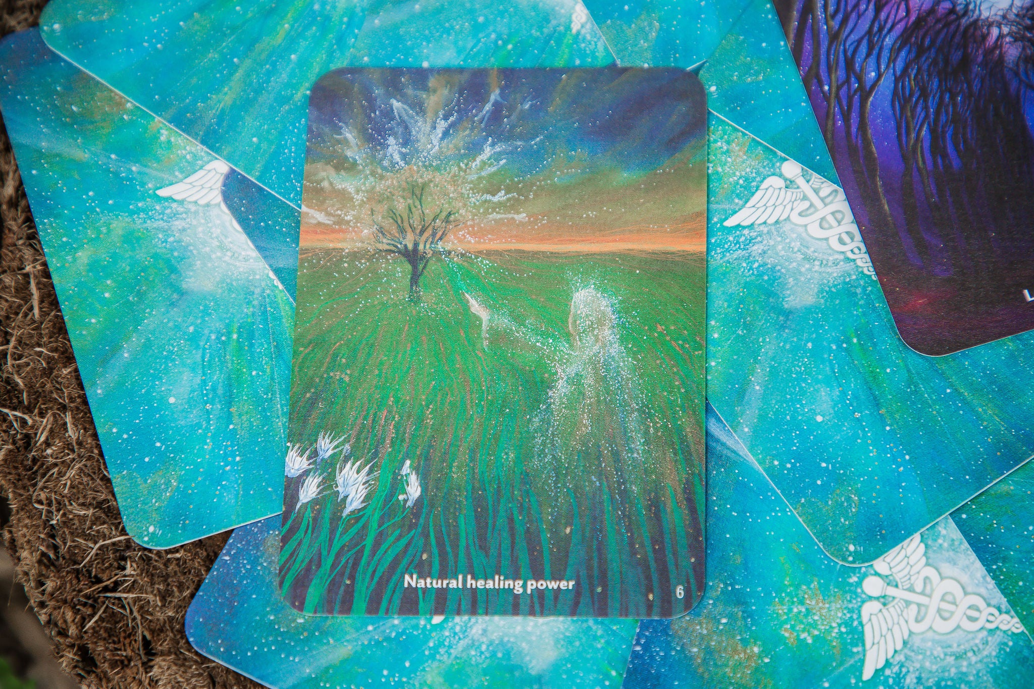 The Healing Spirits Oracle