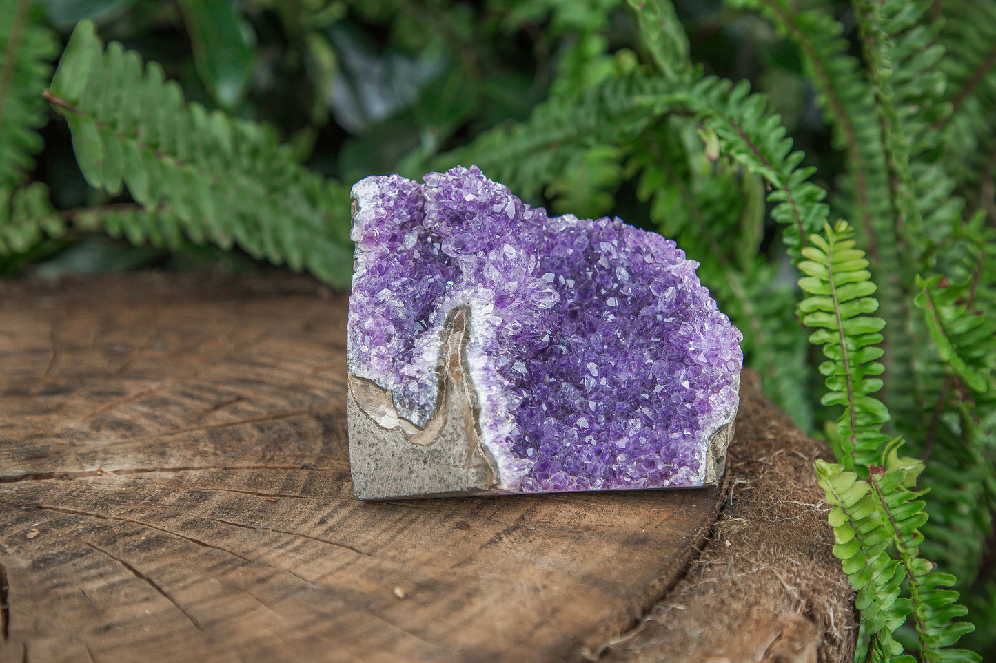 Amethyst Cluster