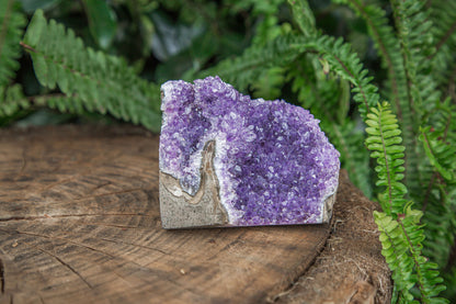Amethyst Cluster