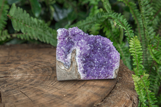 Amethyst Cluster