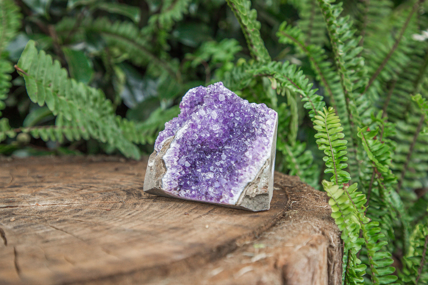 Amethyst Cluster