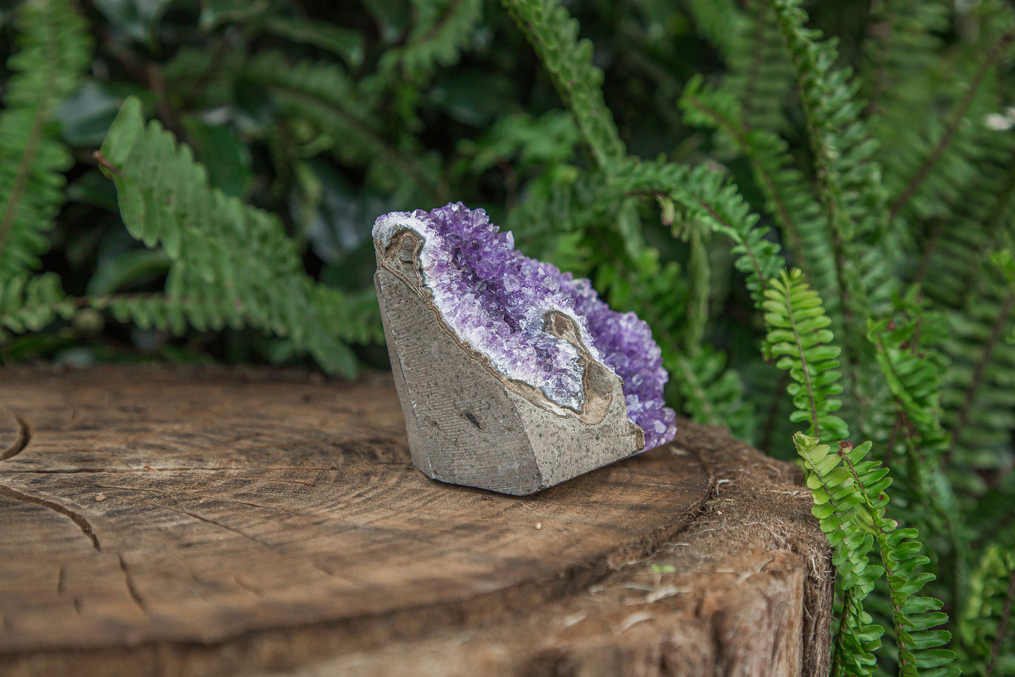 Amethyst Cluster