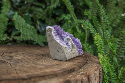 Amethyst Cluster