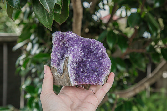 Amethyst Cluster