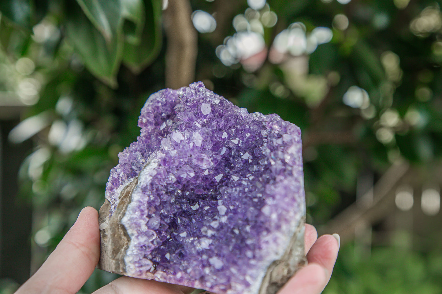 Amethyst Cluster