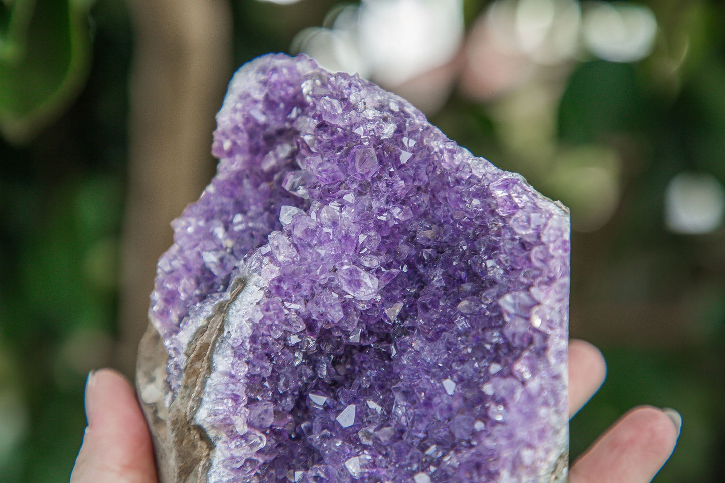 Amethyst Cluster