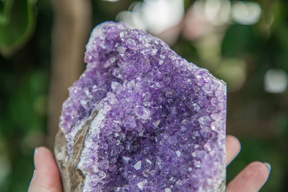 Amethyst Cluster