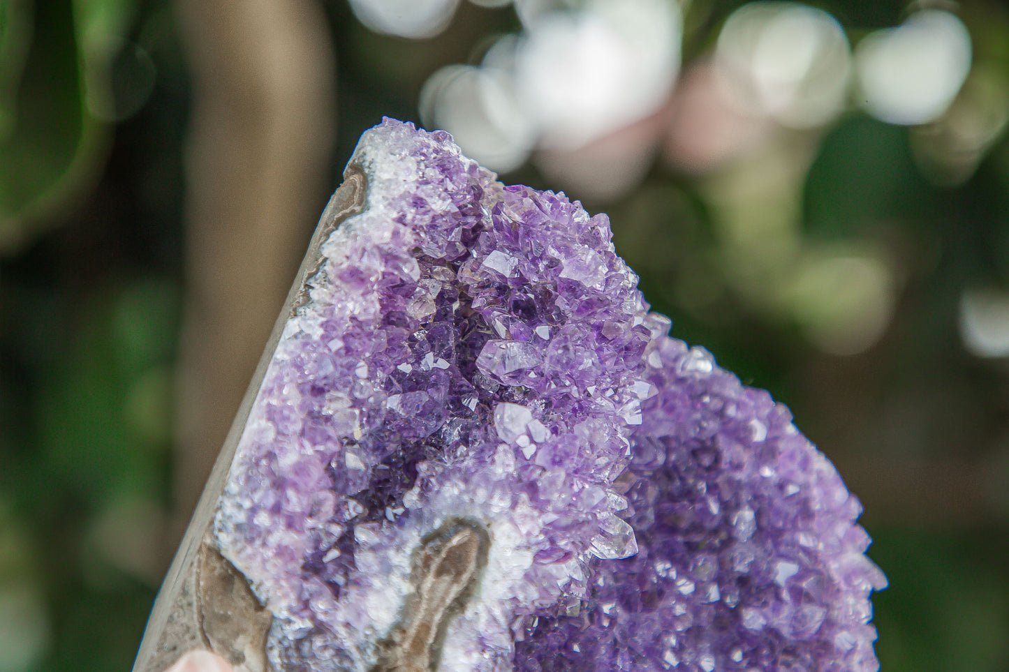Amethyst Cluster