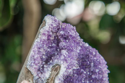 Amethyst Cluster