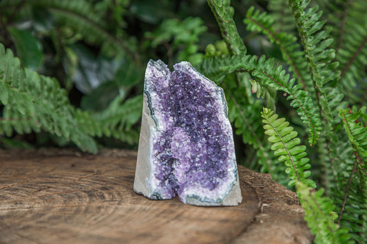 Amethyst Cluster