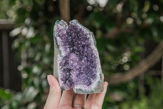 Amethyst Cluster