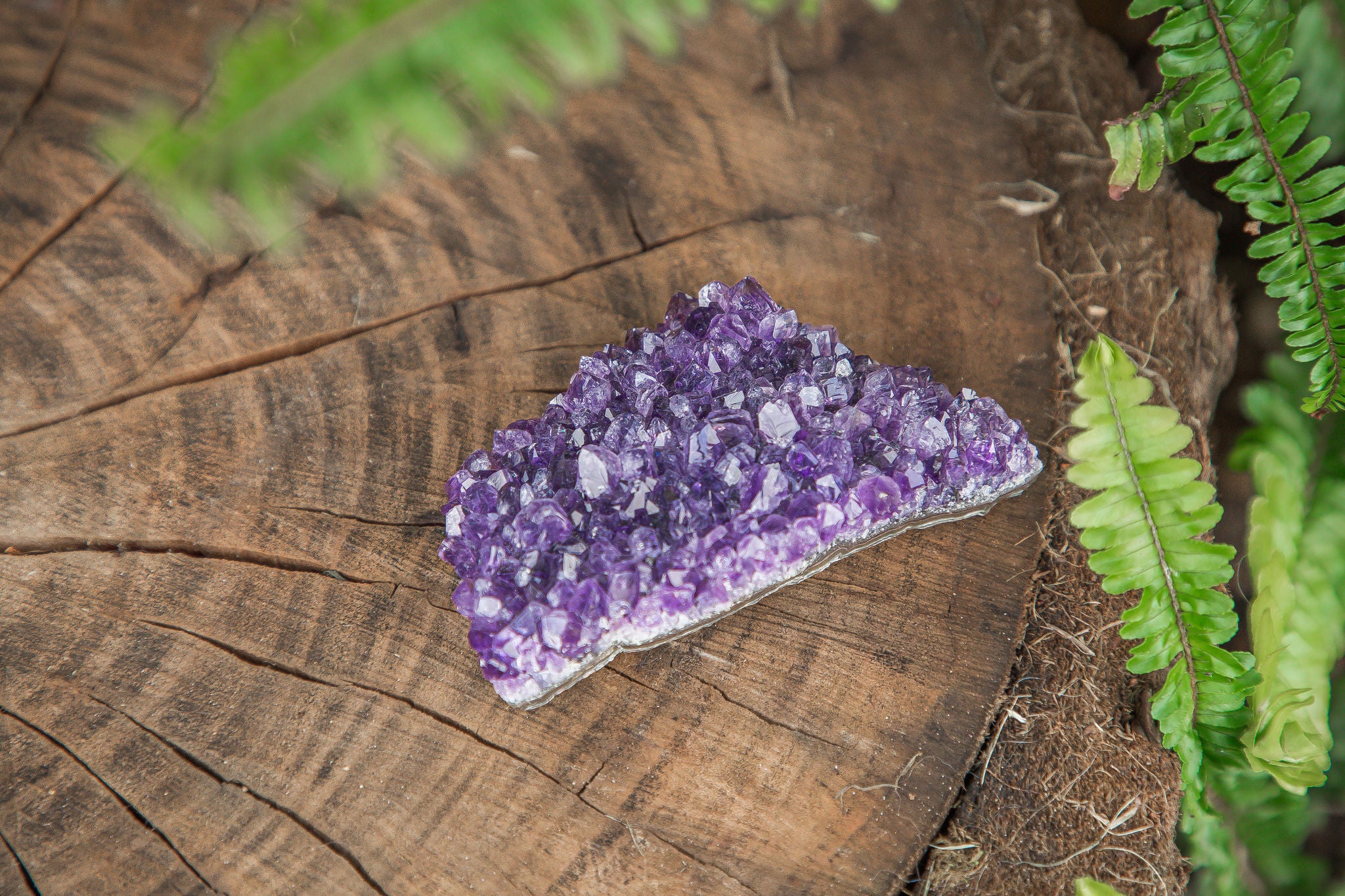 Uruguayan Amethyst Cluster