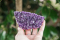 Uruguayan Amethyst Cluster