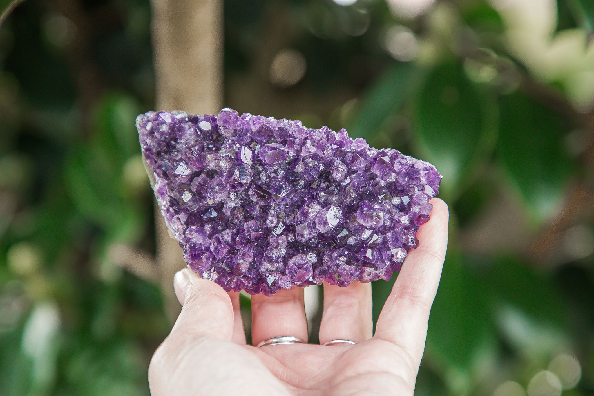 Uruguayan Amethyst Cluster