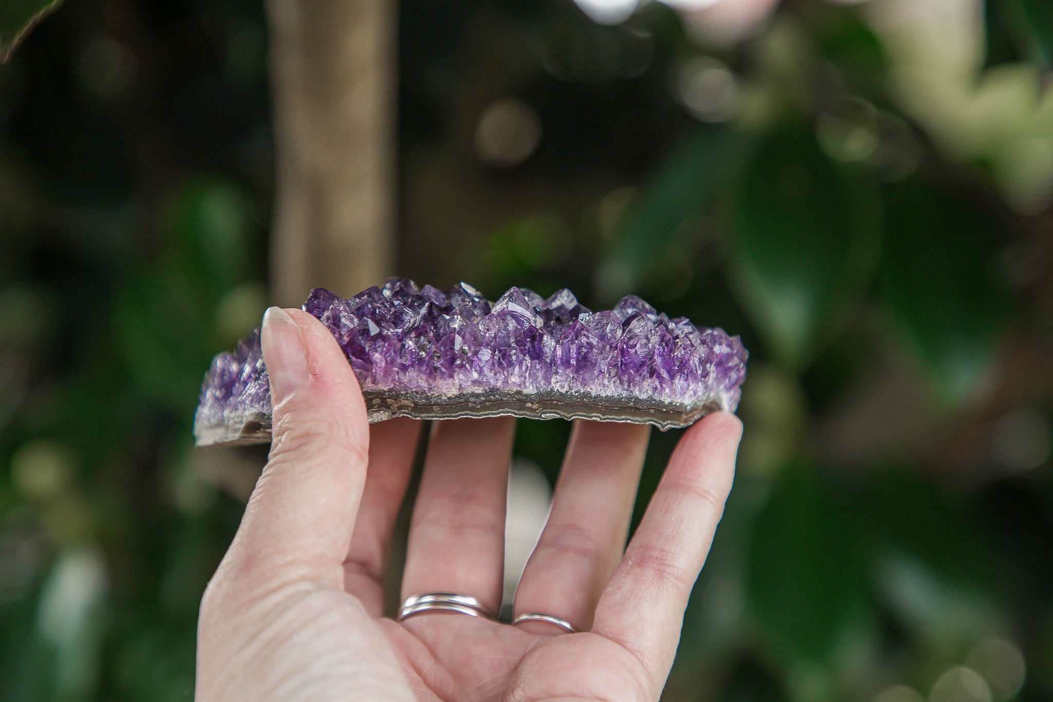 Uruguayan Amethyst Cluster