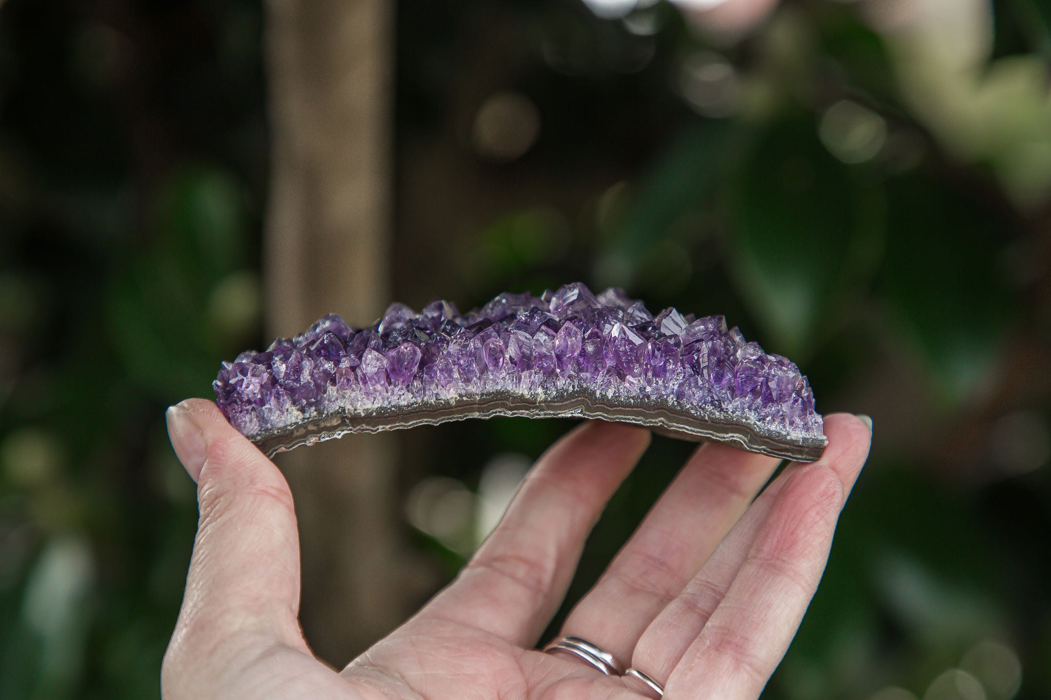 Uruguayan Amethyst Cluster