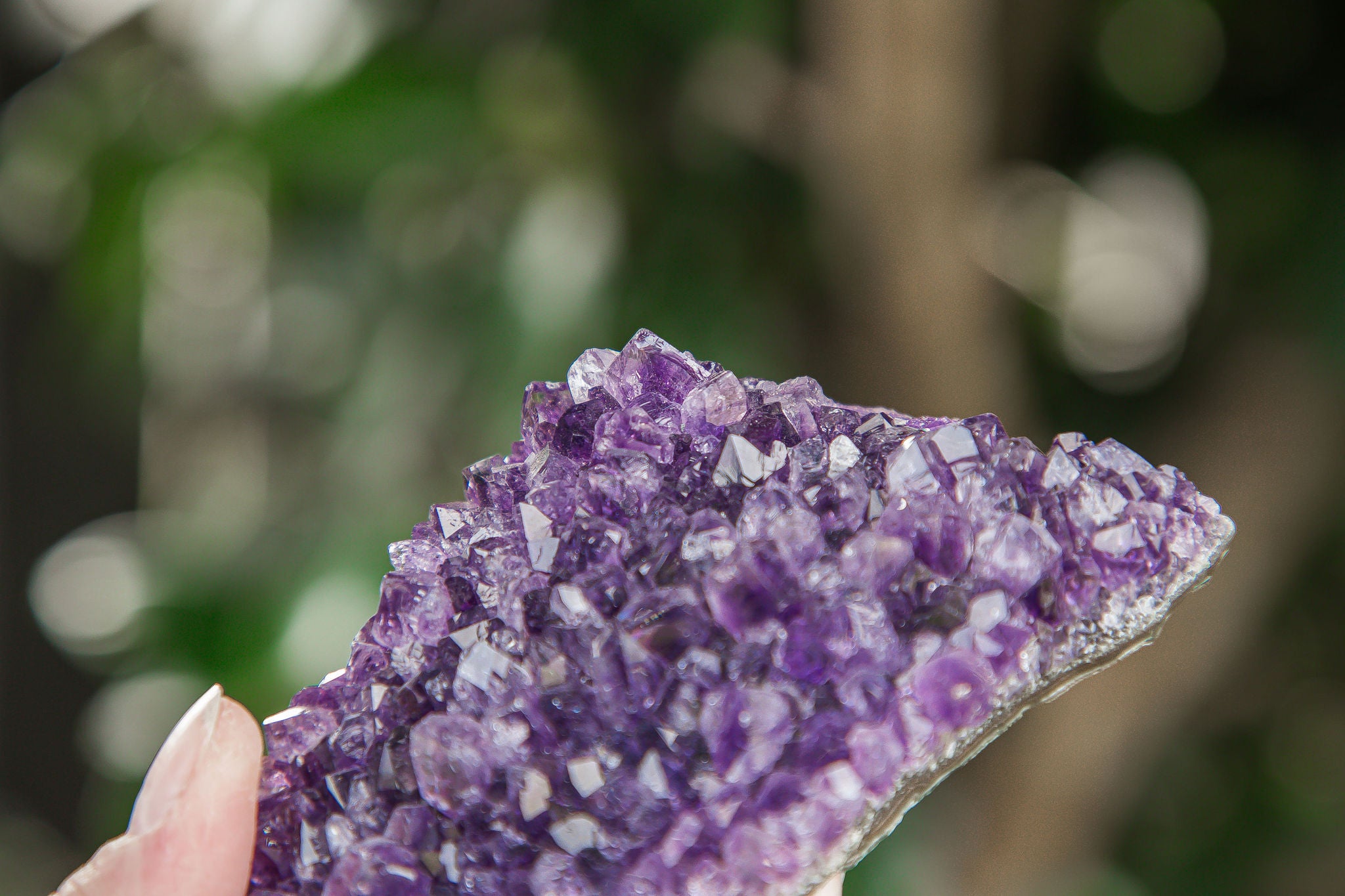 Uruguayan Amethyst Cluster