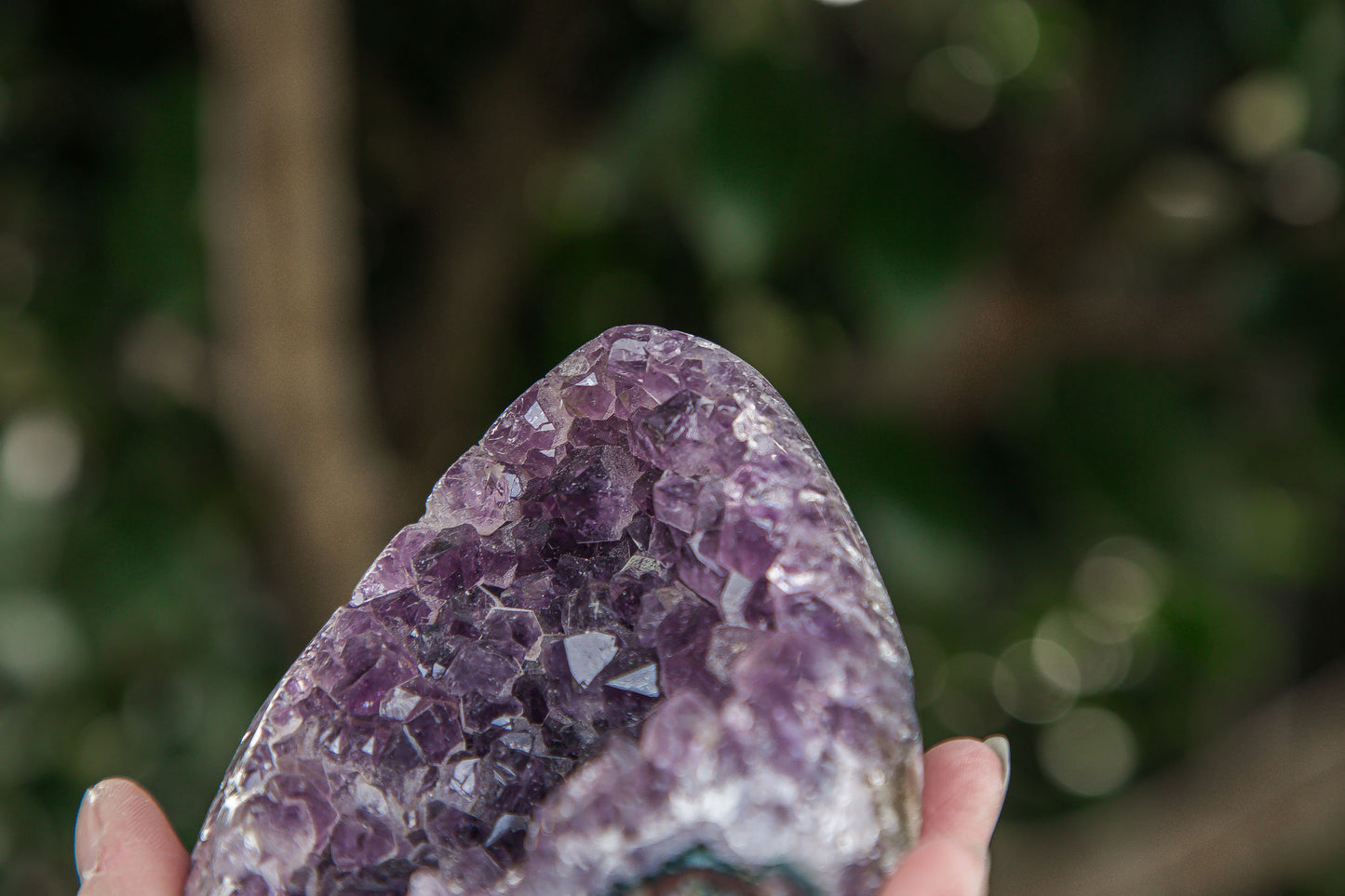 Amethyst Cluster