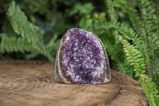 Amethyst Cluster