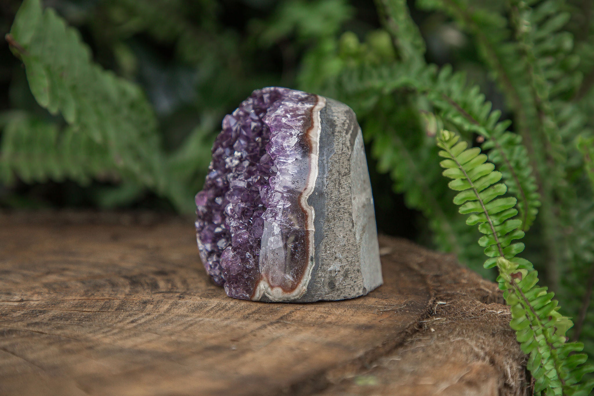 Amethyst Cluster