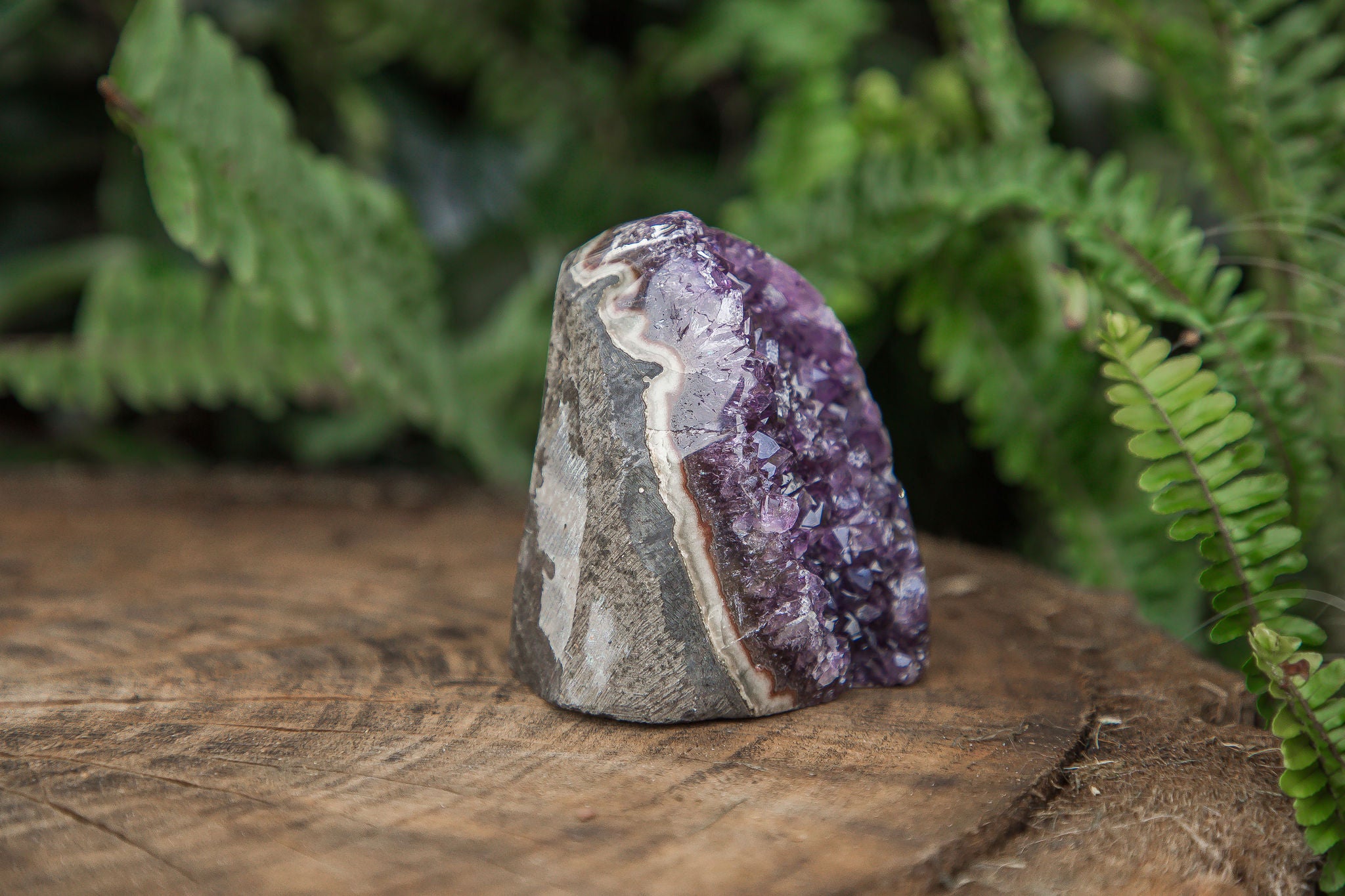 Amethyst Cluster