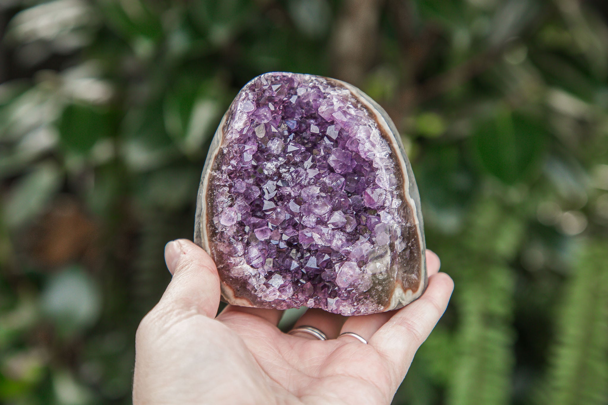 Amethyst Cluster