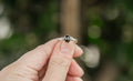 Sterling Silver Ring | Onyx