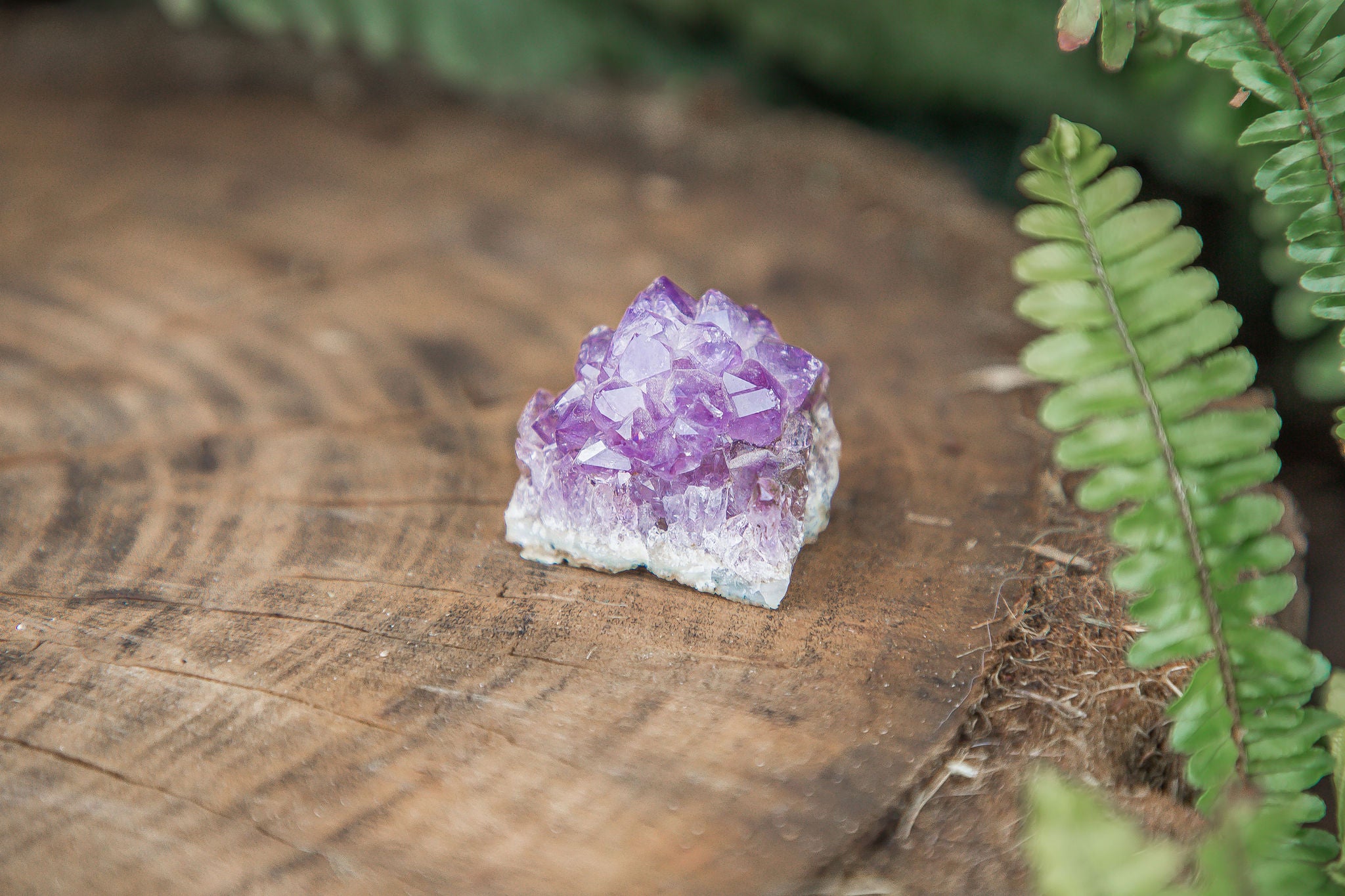 Mini Amethyst "Pineapple" Cluster