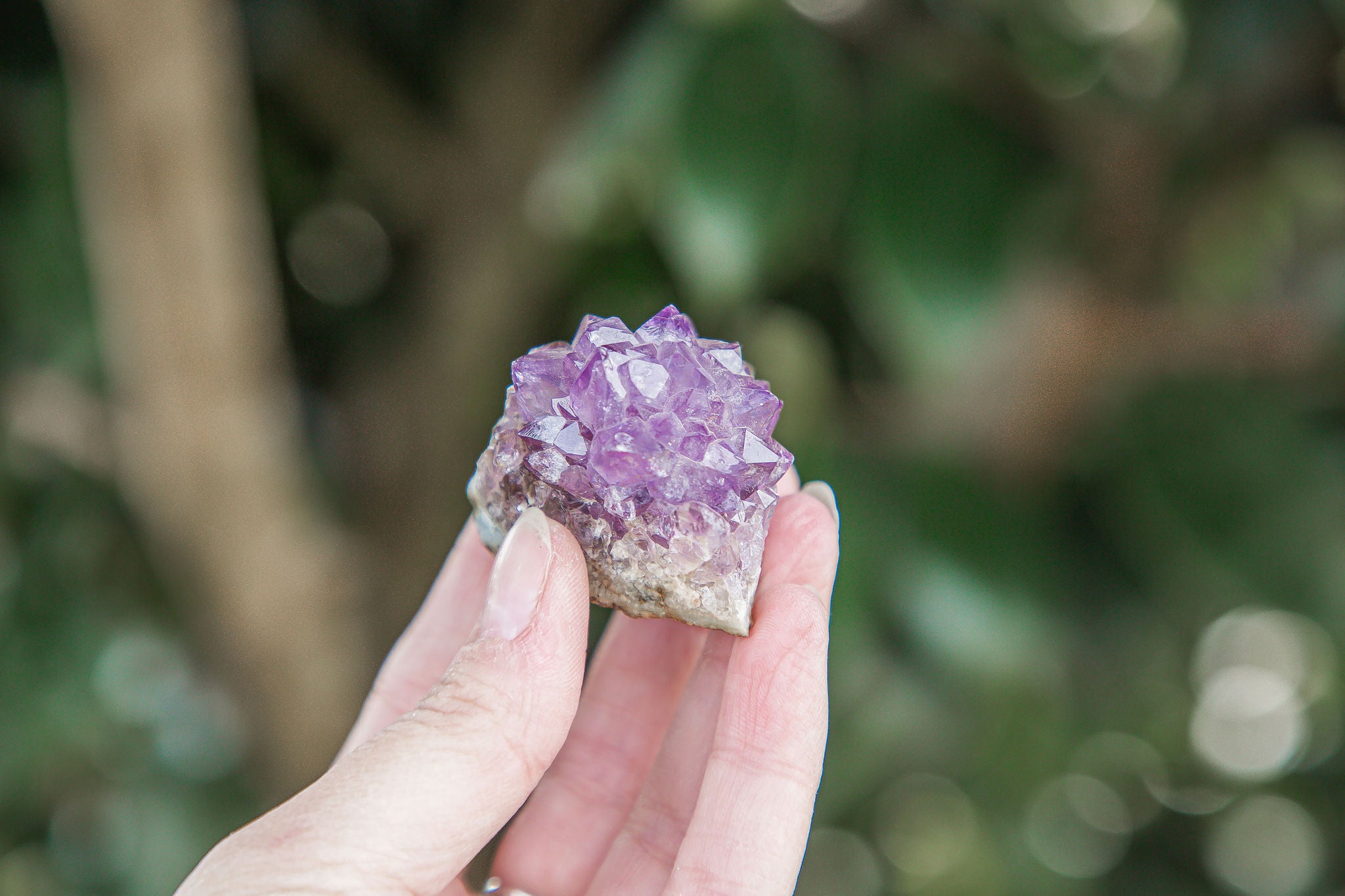 Mini Amethyst "Pineapple" Cluster