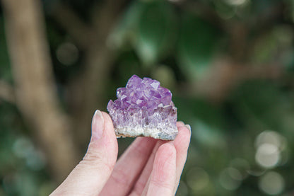 Mini Amethyst "Pineapple" Cluster