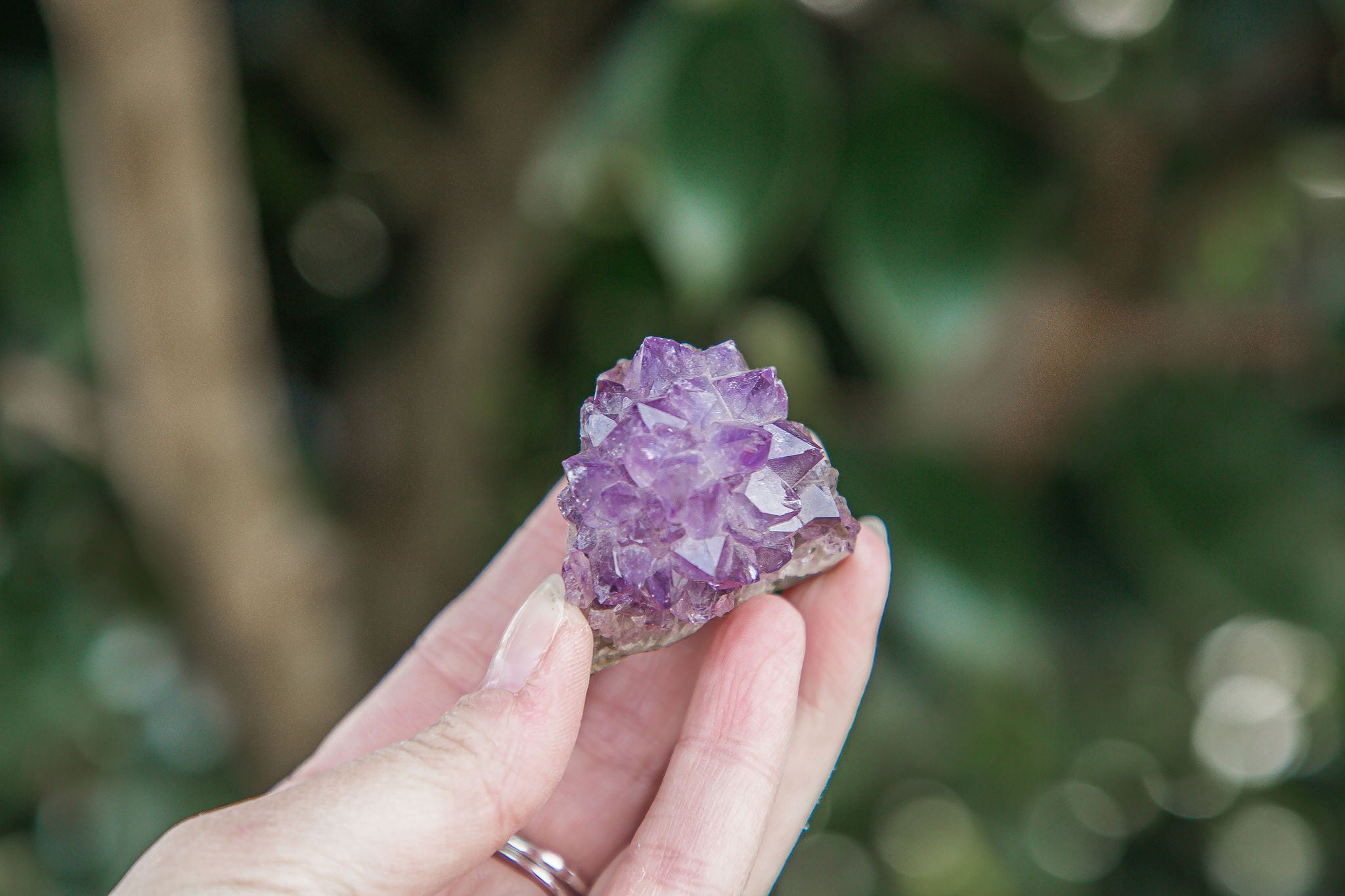 Mini Amethyst "Pineapple" Cluster