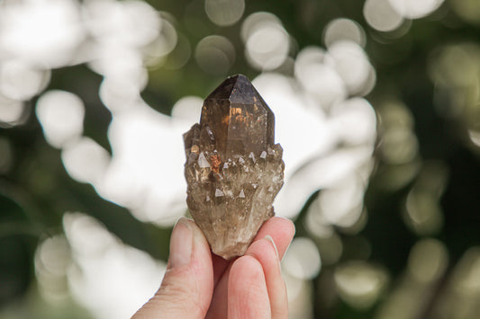 Kundalini Citrine Cluster