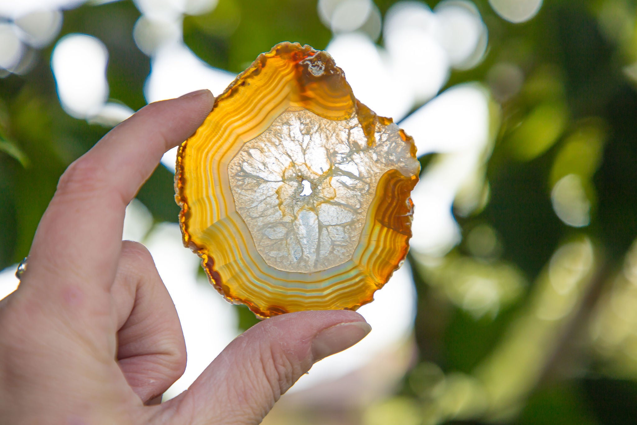 Iris Agate Slice