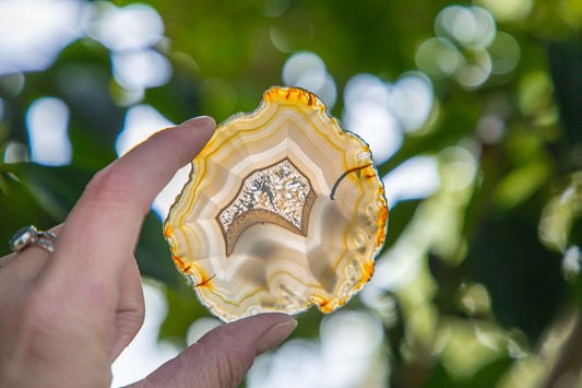 Iris Agate Slice