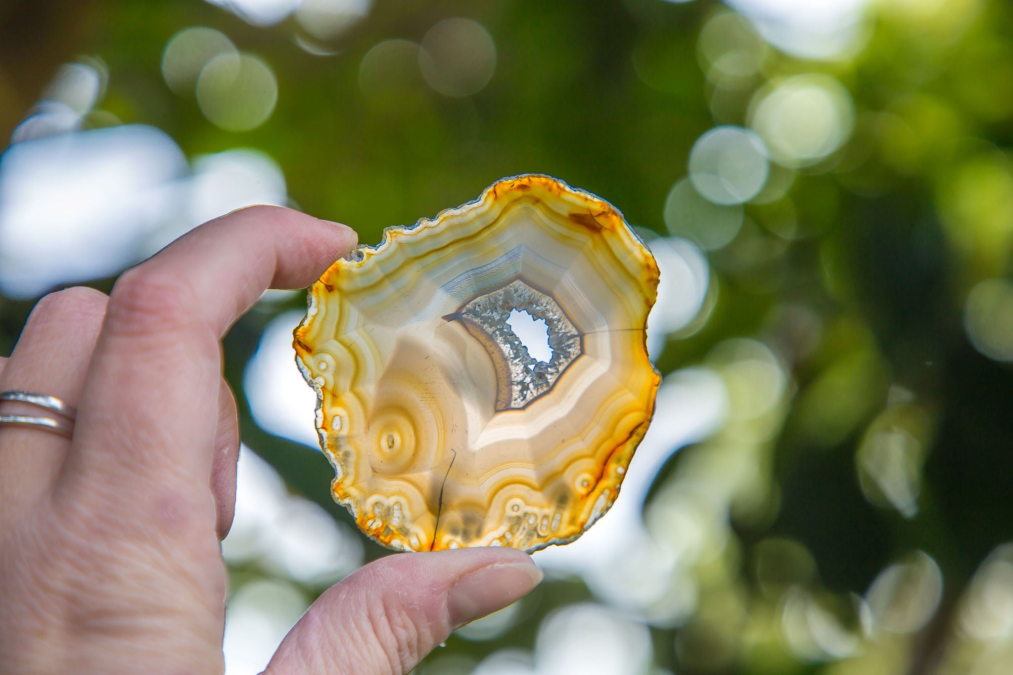 Iris Agate Slice