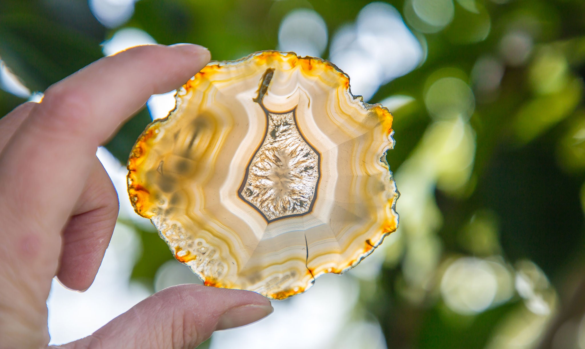 Iris Agate Slice
