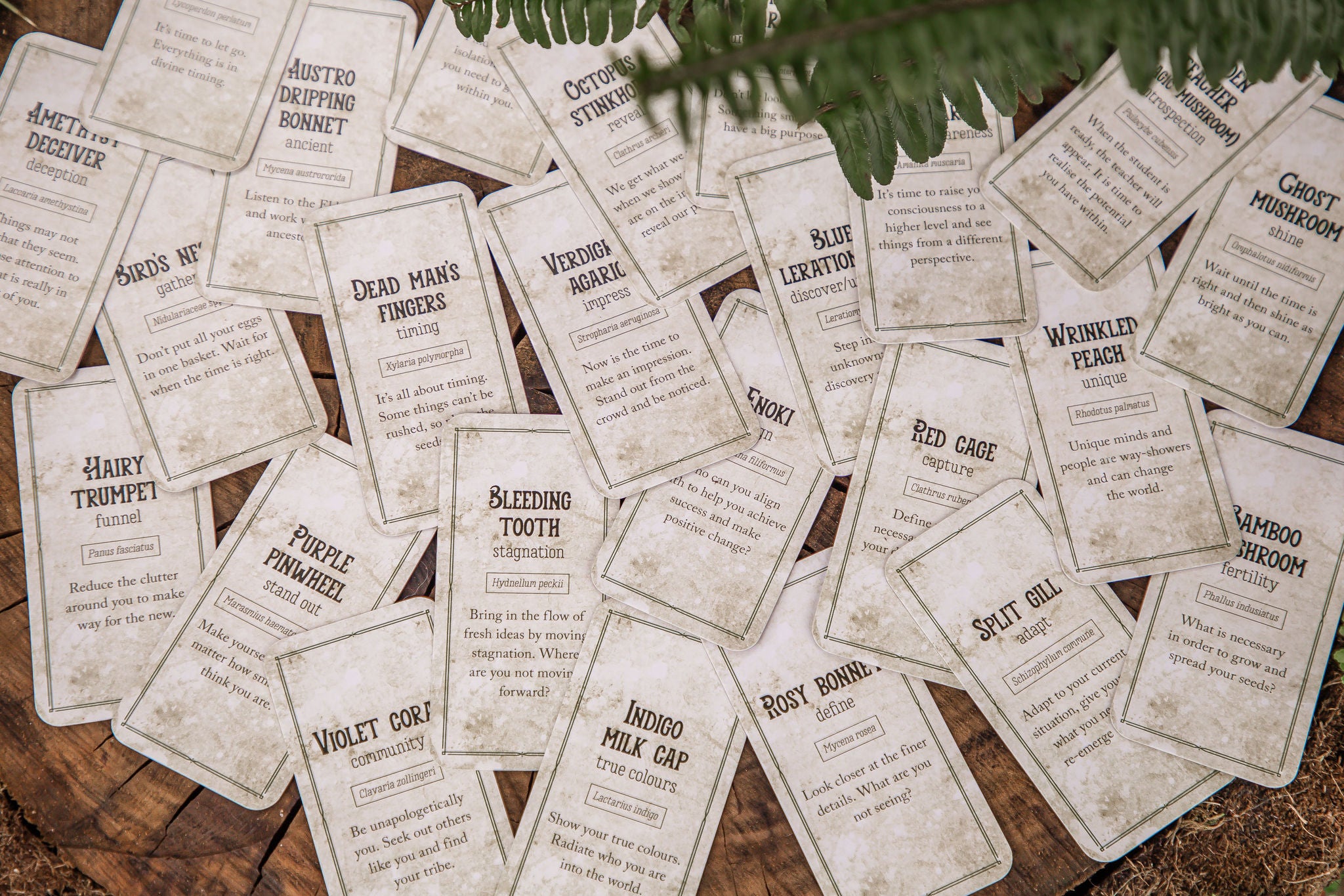 Mushroom Affirmations