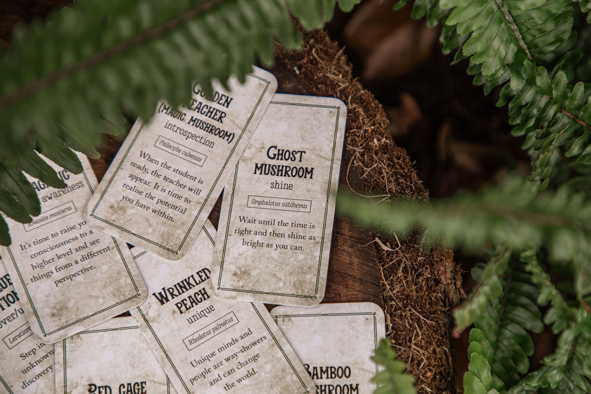 Mushroom Affirmations