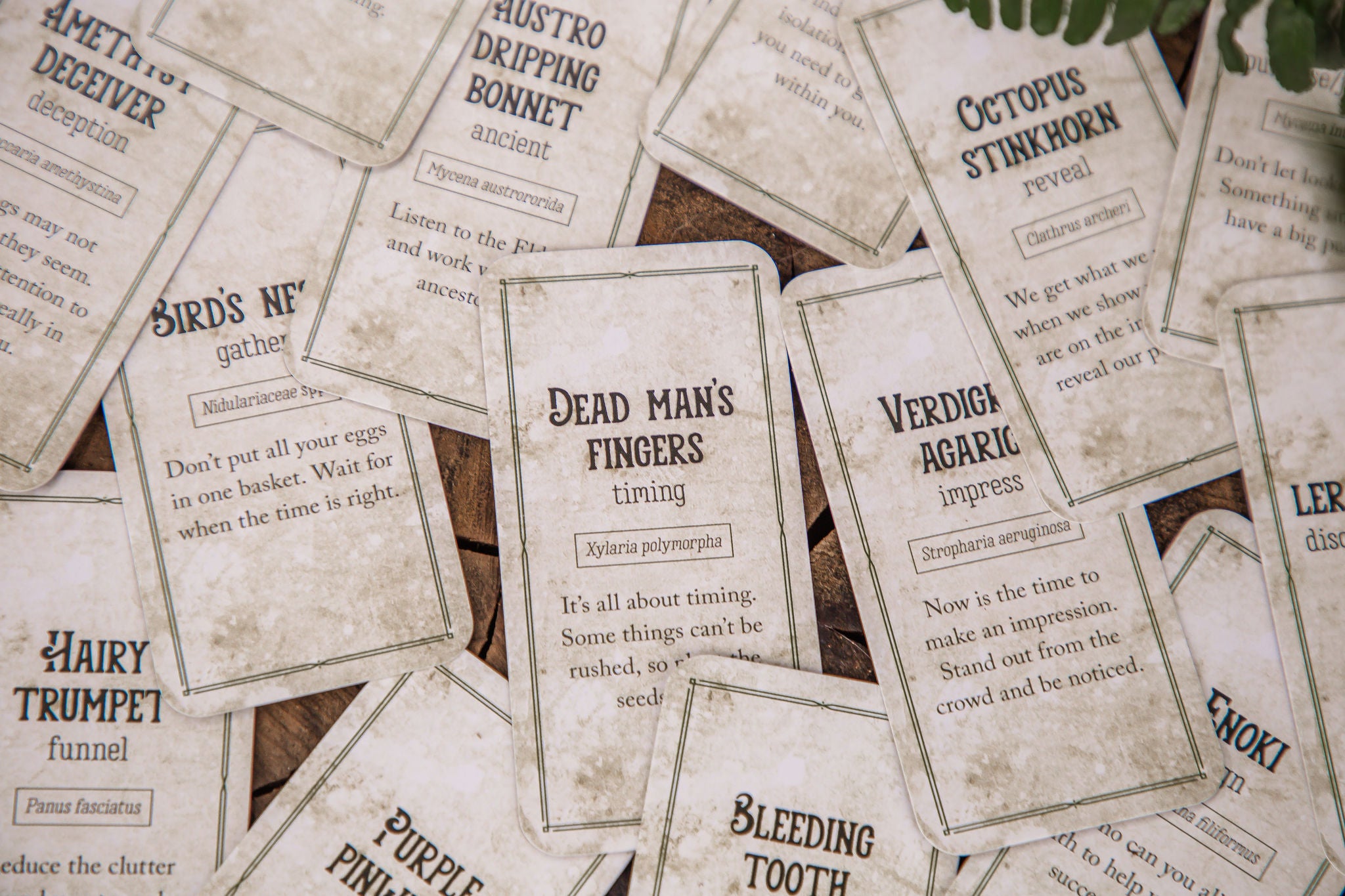 Mushroom Affirmations