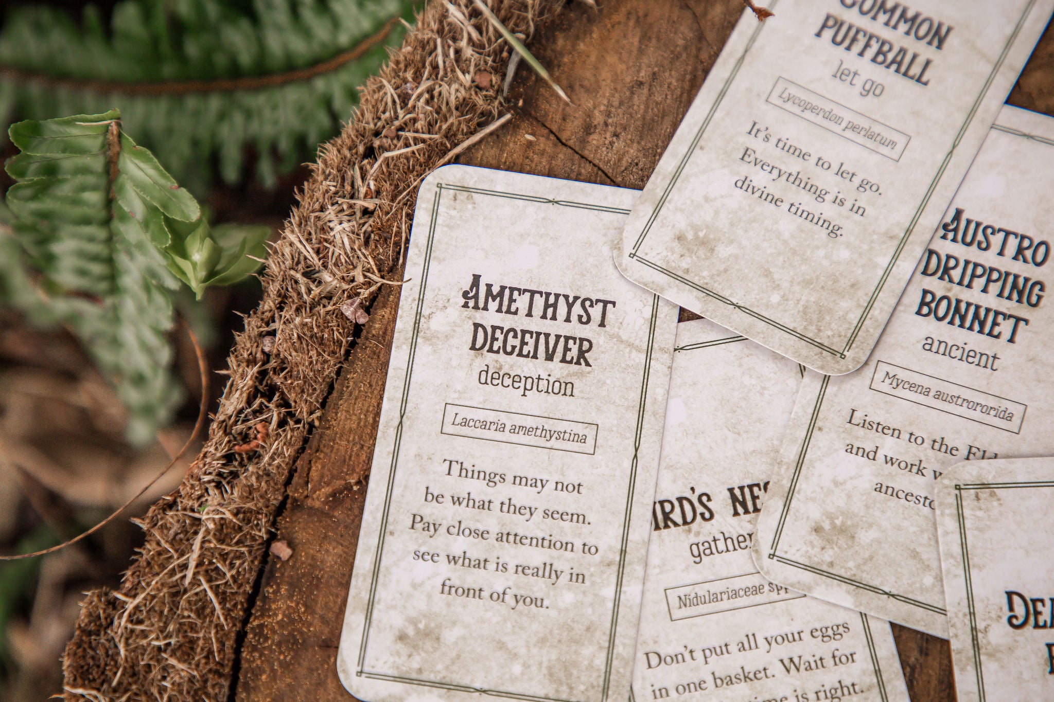 Mushroom Affirmations