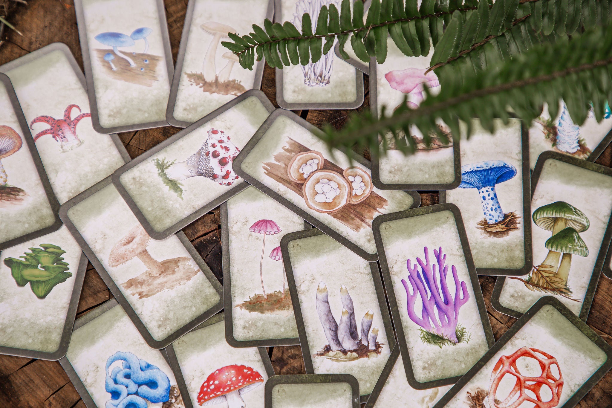 Mushroom Affirmations