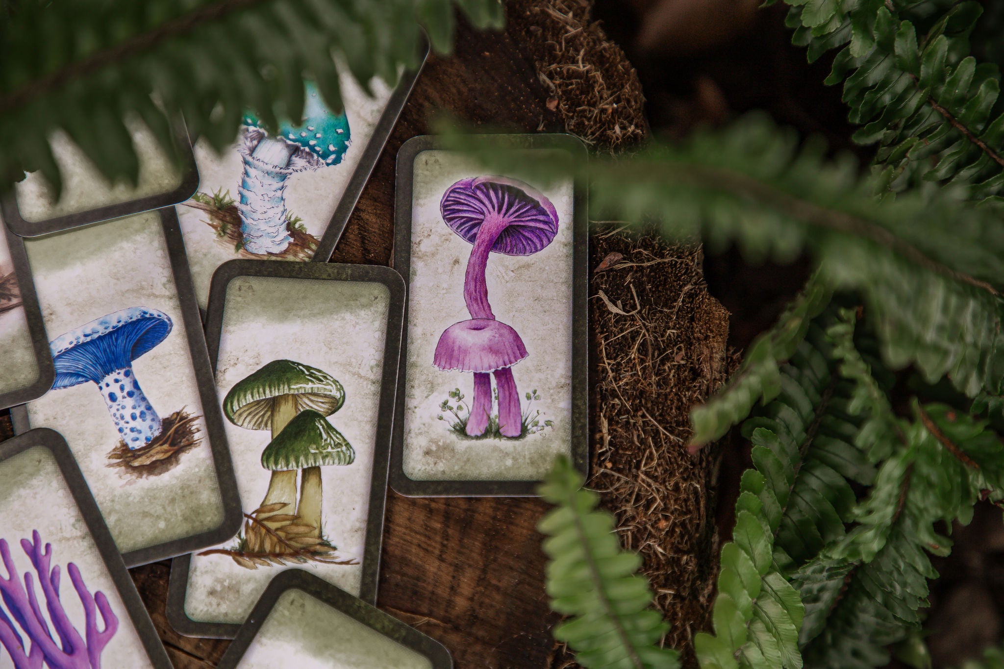 Mushroom Affirmations