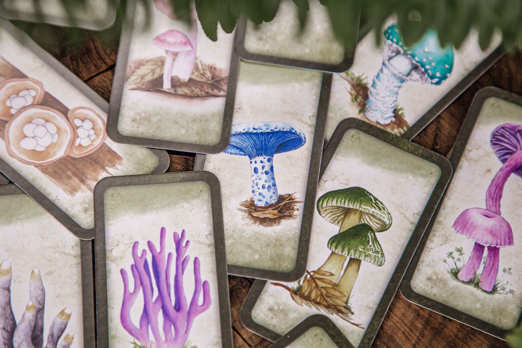 Mushroom Affirmations